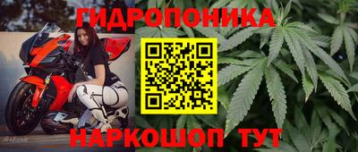 молекула духа Татарск