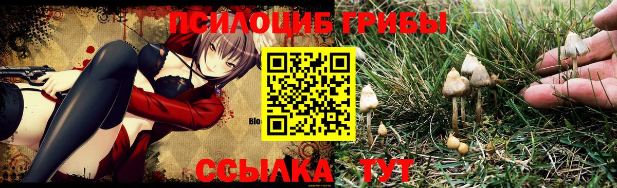 Боровичи  Марихуана  Экстази  COCAIN  Меф МЯУ МЯУ  Вход с VPN  LSD-25  ГАШИШ  Меф кристаллы 